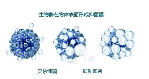 百利娛樂下載 日化原料 福賽生物酶,生物復合技術讓清潔產品進入 酶 時代