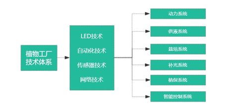 植物工廠發(fā)展勢頭迅猛 能耗降低是難點(diǎn),應(yīng)用拓展很關(guān)鍵